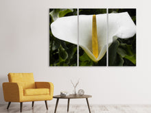 Laden Sie das Bild in den Galerie-Viewer, Leinwandbild 3-teilig Makro Calla in weiss