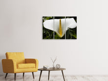 Laden Sie das Bild in den Galerie-Viewer, Leinwandbild 3-teilig Makro Calla in weiss