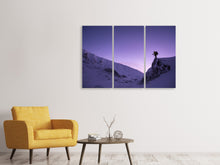 Laden Sie das Bild in den Galerie-Viewer, Leinwandbild 3-teilig Der Schneewanderer