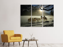 Laden Sie das Bild in den Galerie-Viewer, Leinwandbild 3-teilig Huskys
