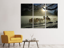 Laden Sie das Bild in den Galerie-Viewer, Leinwandbild 3-teilig Huskys