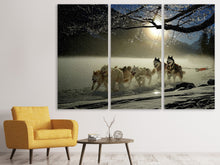 Laden Sie das Bild in den Galerie-Viewer, Leinwandbild 3-teilig Huskys