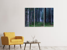 Laden Sie das Bild in den Galerie-Viewer, Leinwandbild 3-teilig Tannen Wald