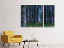 Laden Sie das Bild in den Galerie-Viewer, Leinwandbild 3-teilig Tannen Wald