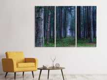 Laden Sie das Bild in den Galerie-Viewer, Leinwandbild 3-teilig Tannen Wald
