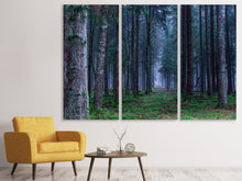 Laden Sie das Bild in den Galerie-Viewer, Leinwandbild 3-teilig Tannen Wald