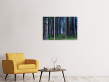 Laden Sie das Bild in den Galerie-Viewer, Leinwandbild 3-teilig Tannen Wald