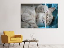 Laden Sie das Bild in den Galerie-Viewer, Leinwandbild 3-teilig Katzen Mama mit Baby
