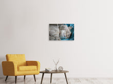 Laden Sie das Bild in den Galerie-Viewer, Leinwandbild 3-teilig Katzen Mama mit Baby