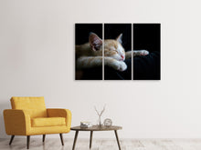 Laden Sie das Bild in den Galerie-Viewer, Leinwandbild 3-teilig Faule Katze