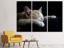 Laden Sie das Bild in den Galerie-Viewer, Leinwandbild 3-teilig Faule Katze