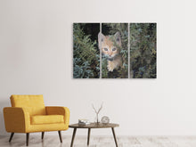 Laden Sie das Bild in den Galerie-Viewer, Leinwandbild 3-teilig Tiger Kitten