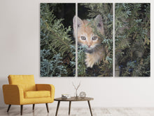 Laden Sie das Bild in den Galerie-Viewer, Leinwandbild 3-teilig Tiger Kitten