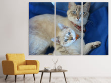 Laden Sie das Bild in den Galerie-Viewer, Leinwandbild 3-teilig Wie die Mama...