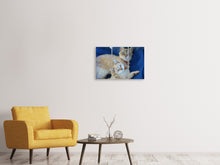 Laden Sie das Bild in den Galerie-Viewer, Leinwandbild 3-teilig Wie die Mama...