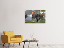 Laden Sie das Bild in den Galerie-Viewer, Leinwandbild 3-teilig Verliebt in Kitten