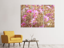 Laden Sie das Bild in den Galerie-Viewer, Leinwandbild 3-teilig Das Schmuckkörbchen Cosmea