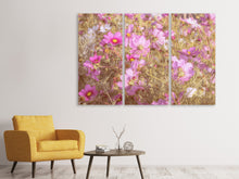 Laden Sie das Bild in den Galerie-Viewer, Leinwandbild 3-teilig Das Schmuckkörbchen Cosmea