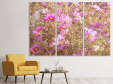 Laden Sie das Bild in den Galerie-Viewer, Leinwandbild 3-teilig Das Schmuckkörbchen Cosmea