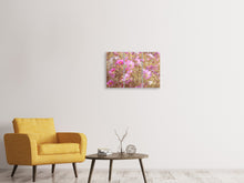 Laden Sie das Bild in den Galerie-Viewer, Leinwandbild 3-teilig Das Schmuckkörbchen Cosmea