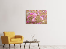 Laden Sie das Bild in den Galerie-Viewer, Leinwandbild 3-teilig Das Schmuckkörbchen Cosmea