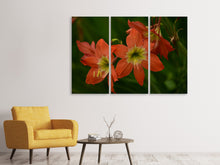 Laden Sie das Bild in den Galerie-Viewer, Leinwandbild 3-teilig Lilien in orange
