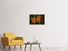 Laden Sie das Bild in den Galerie-Viewer, Leinwandbild 3-teilig Lilien in orange