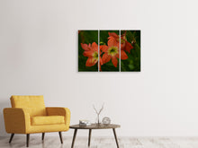 Laden Sie das Bild in den Galerie-Viewer, Leinwandbild 3-teilig Lilien in orange
