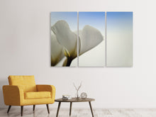 Laden Sie das Bild in den Galerie-Viewer, Leinwandbild 3-teilig Das Blatt einer Lilienblüte