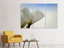 Laden Sie das Bild in den Galerie-Viewer, Leinwandbild 3-teilig Das Blatt einer Lilienblüte