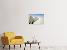 Laden Sie das Bild in den Galerie-Viewer, Leinwandbild 3-teilig Das Blatt einer Lilienblüte
