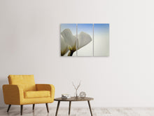 Laden Sie das Bild in den Galerie-Viewer, Leinwandbild 3-teilig Das Blatt einer Lilienblüte