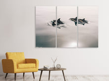 Laden Sie das Bild in den Galerie-Viewer, Leinwandbild 3-teilig Die Delfine