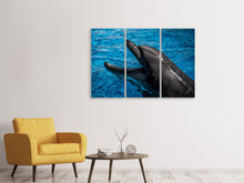 Laden Sie das Bild in den Galerie-Viewer, Leinwandbild 3-teilig Freundlicher Delphin