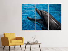 Laden Sie das Bild in den Galerie-Viewer, Leinwandbild 3-teilig Freundlicher Delphin
