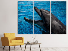 Laden Sie das Bild in den Galerie-Viewer, Leinwandbild 3-teilig Freundlicher Delphin