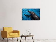 Laden Sie das Bild in den Galerie-Viewer, Leinwandbild 3-teilig Freundlicher Delphin