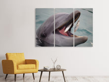 Laden Sie das Bild in den Galerie-Viewer, Leinwandbild 3-teilig Essenszeit für einen Delphin