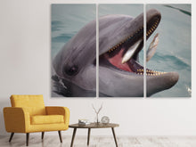 Laden Sie das Bild in den Galerie-Viewer, Leinwandbild 3-teilig Essenszeit für einen Delphin