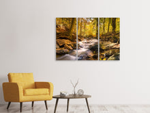 Laden Sie das Bild in den Galerie-Viewer, Leinwandbild 3-teilig Echte Natur Schönheit
