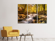 Laden Sie das Bild in den Galerie-Viewer, Leinwandbild 3-teilig Echte Natur Schönheit