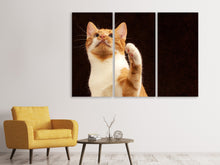 Laden Sie das Bild in den Galerie-Viewer, Leinwandbild 3-teilig Achtung kluge Katze