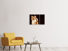 Laden Sie das Bild in den Galerie-Viewer, Leinwandbild 3-teilig Achtung kluge Katze