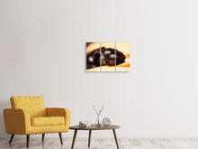 Laden Sie das Bild in den Galerie-Viewer, Leinwandbild 3-teilig Katzenpfote