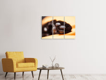 Laden Sie das Bild in den Galerie-Viewer, Leinwandbild 3-teilig Katzenpfote