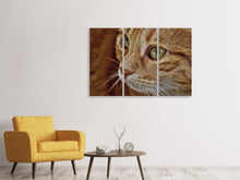 Laden Sie das Bild in den Galerie-Viewer, Leinwandbild 3-teilig Close up Katzenkopf