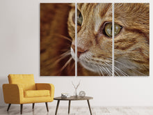 Laden Sie das Bild in den Galerie-Viewer, Leinwandbild 3-teilig Close up Katzenkopf