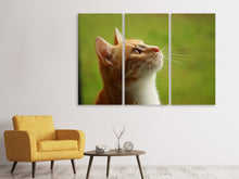 Laden Sie das Bild in den Galerie-Viewer, Leinwandbild 3-teilig Katzennase