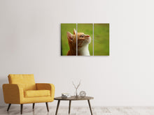Laden Sie das Bild in den Galerie-Viewer, Leinwandbild 3-teilig Katzennase
