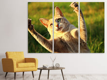 Laden Sie das Bild in den Galerie-Viewer, Leinwandbild 3-teilig Zeig die Krallen!